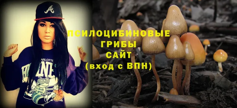 что такое наркотик  Бахчисарай  Псилоцибиновые грибы MAGIC MUSHROOMS 